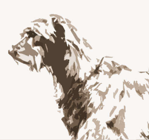 Irish Wolfhound Society of Ireland